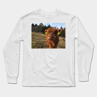 Scottish Highland Cattle Calf 1751 Long Sleeve T-Shirt